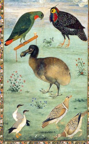 DodoMansur — Mughal Art